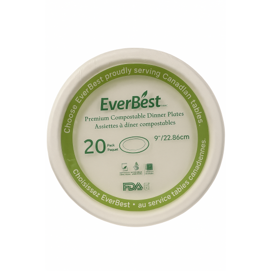 Disposable Plate- 9inches-20pcs/pack